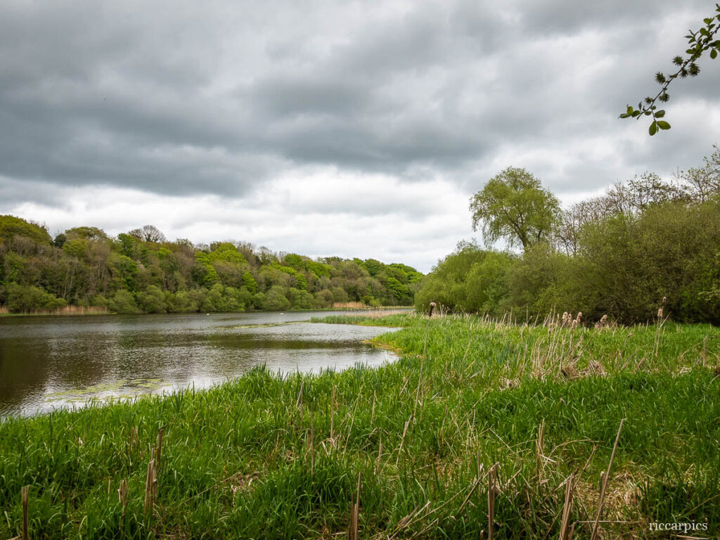 Quoile River, Downpatrick